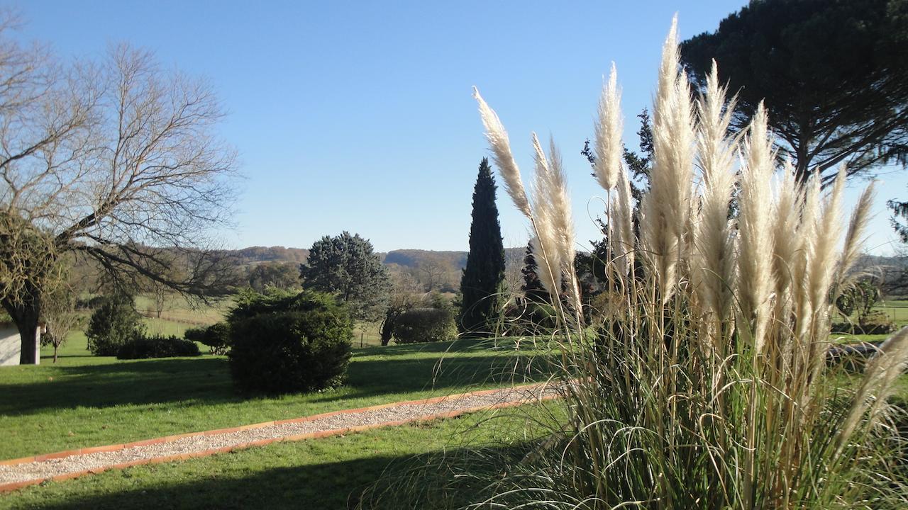 Domaine De Poudos Bed & Breakfast Auterive  Eksteriør bilde